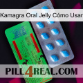 Kamagra Oral Jelly Cómo Usar new03